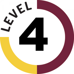 Level 4